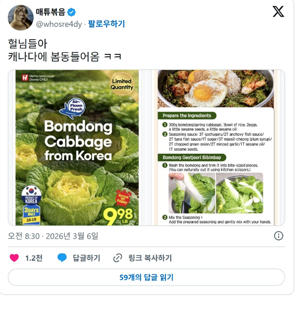 요즘 캐나다에서 유행하는 음식