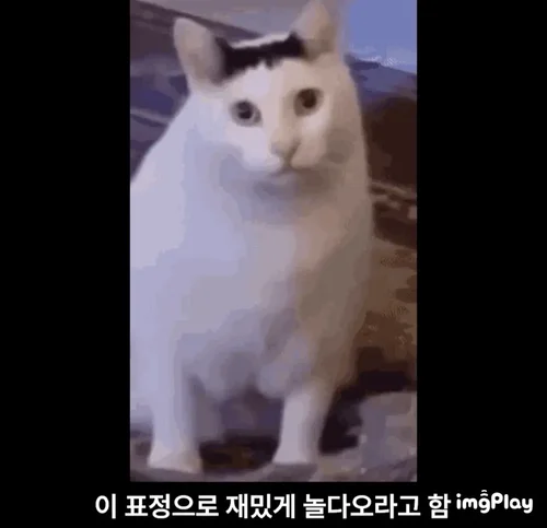 "여보, OOO가 보자는데 잠깐 나갔다와도 돼???"