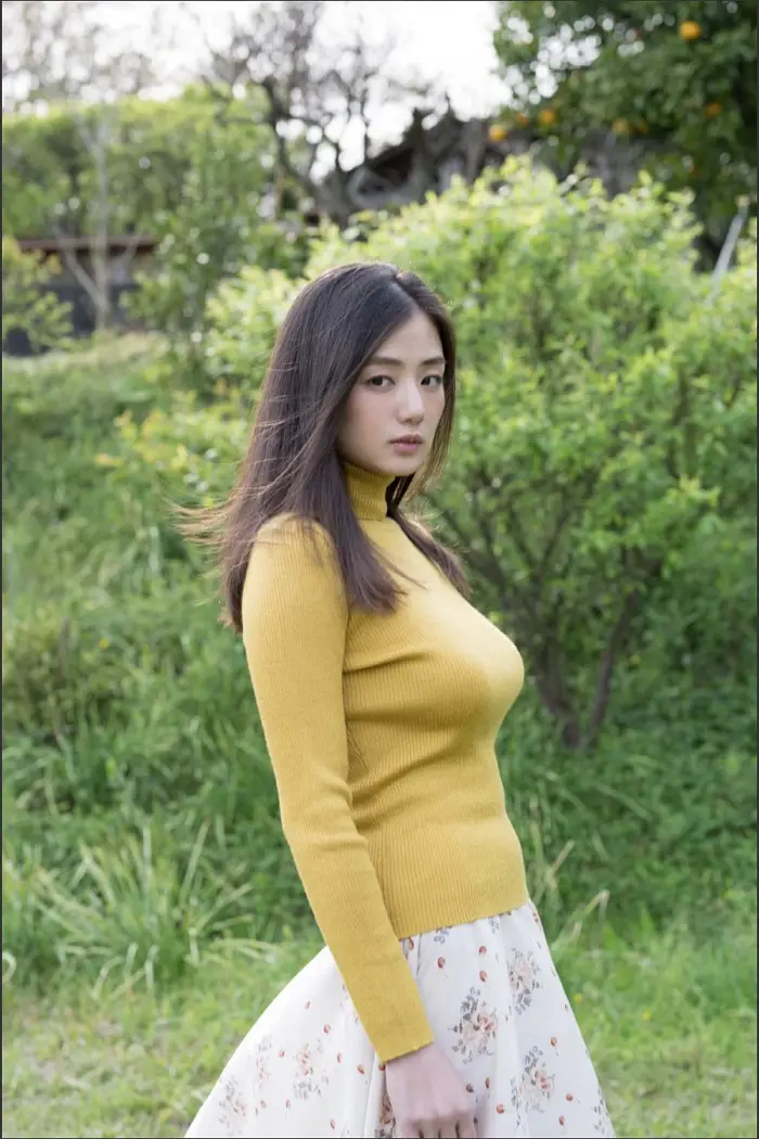 카타야마 모에미, 주간 사진 컬렉션